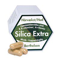 Berthelsen Silica Extra 60 kap.