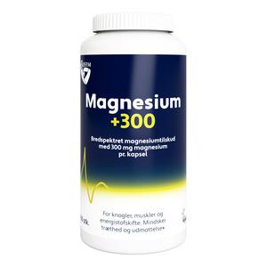 Magnesium +300 - 160 kaps.